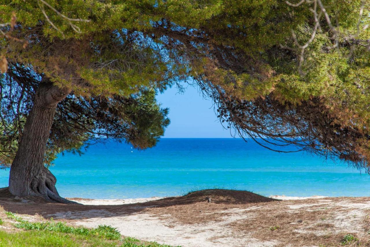 Violeta De Mar Villa Playa de Muro  Exteriör bild